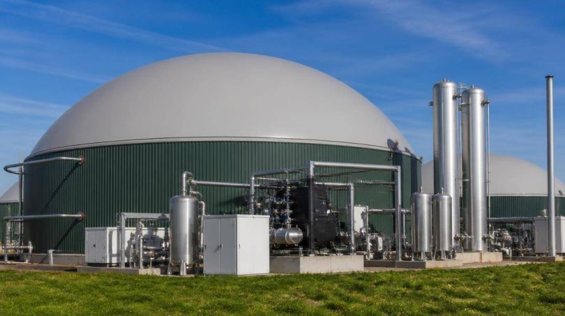 Ricercatori esaminano le apparecchiature di un impianto sperimentale per la produzione di bioenergia.