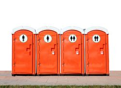 wc chimico